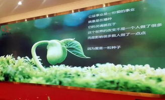 以刀為筆，以玉載道 福建省寶協玉石雕刻專業委員會藝術公益之路